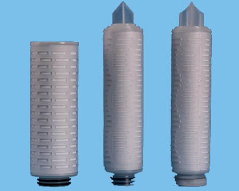 1565769216.jpg